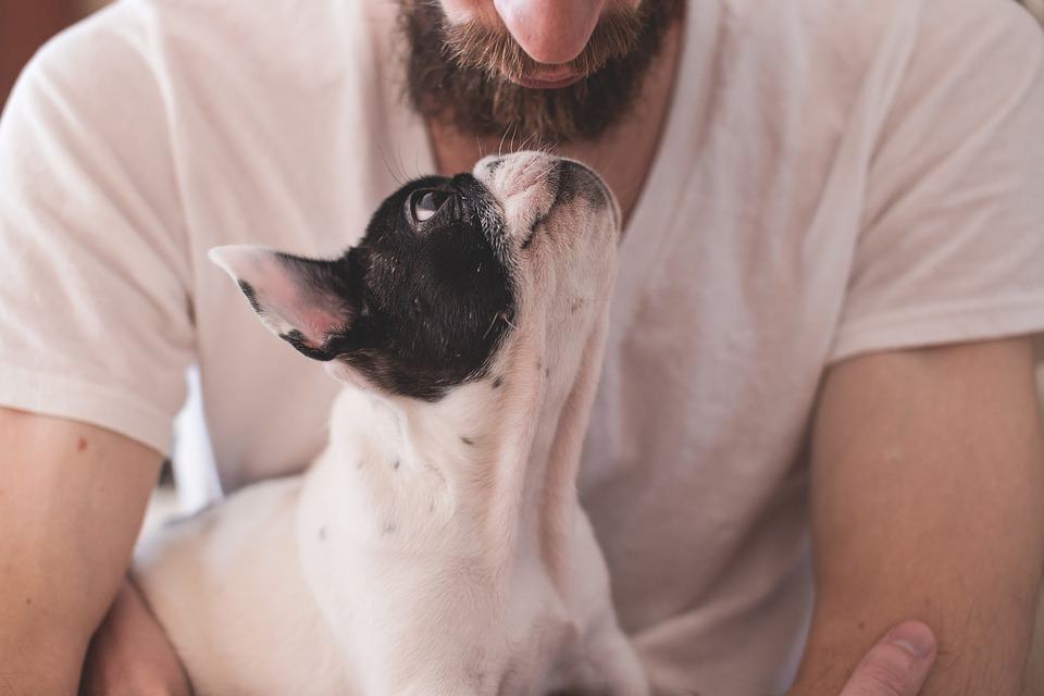 People Who Love Animals More Than People: Psychology Of Empathy | BetterHelp