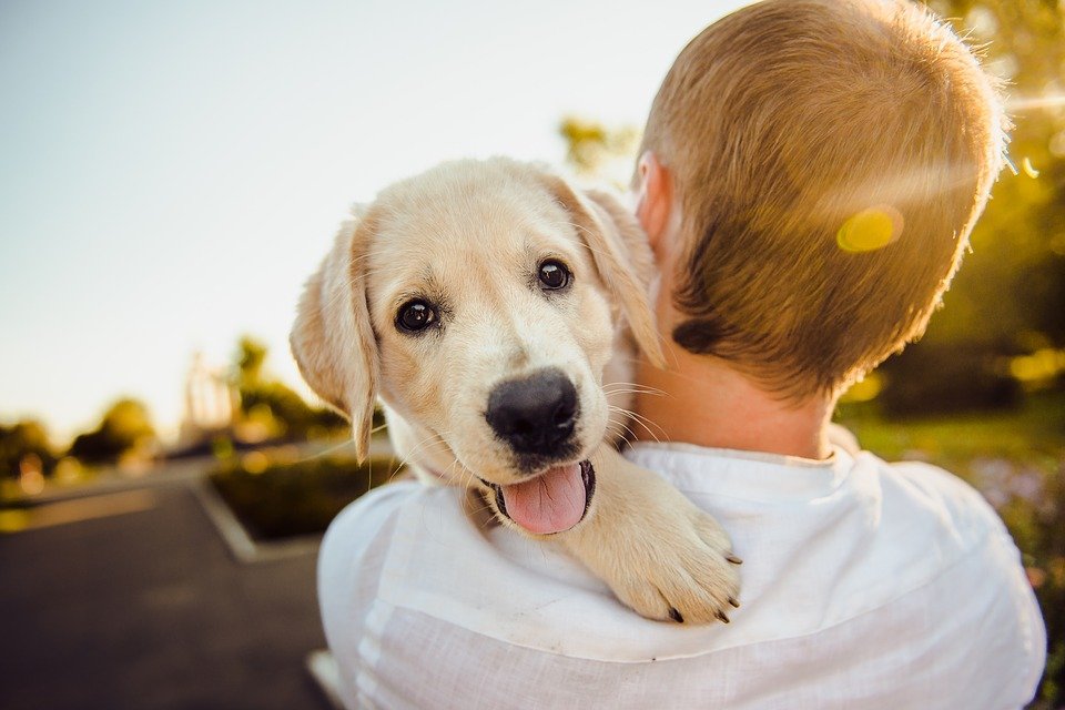 People Who Love Animals More Than People: Psychology Of Empathy