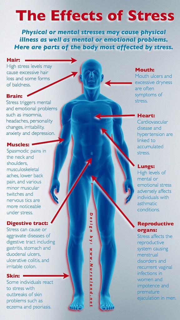 can-anxiety-lower-your-immune-system