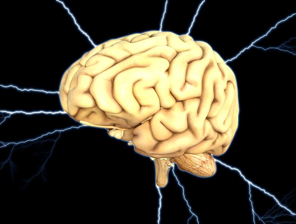 What Is The Behavioral Perspective Understanding The Relationship Between Stimulus Response And Behavior Betterhelp What Is The Behavioral Perspective Understanding The Relationship Between Stimulus Response And Behavior Betterhelp